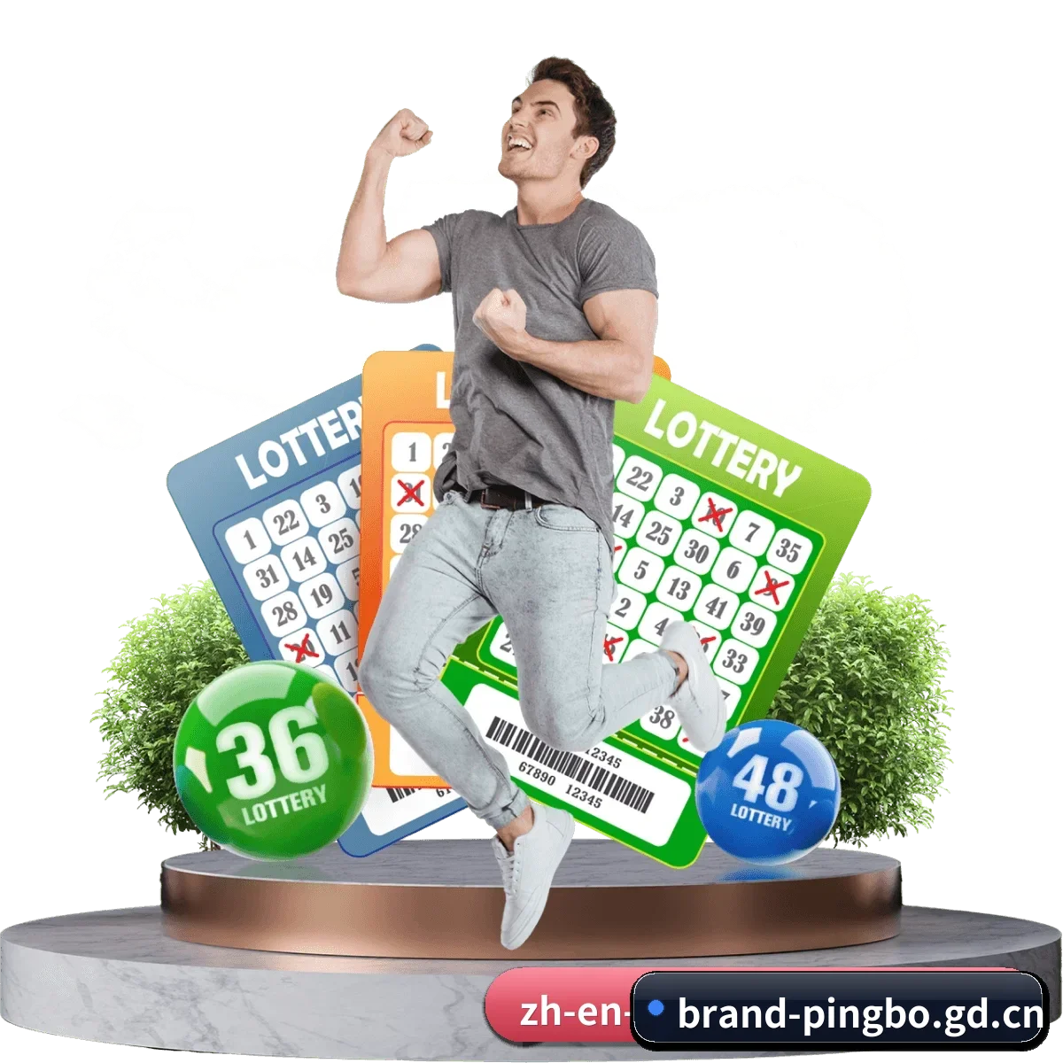 品牌创立与认证（pingbo）
